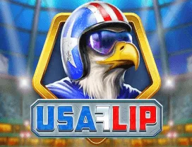 USA Flip